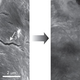 Image for article titled New, self-healing batteries can last for ages